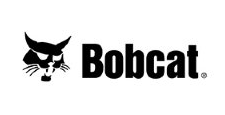 Bobcat